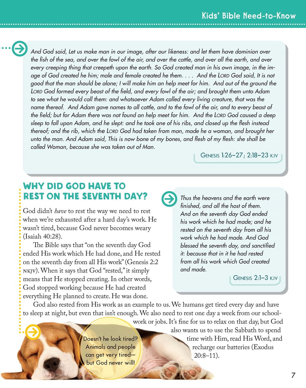 Kids’ Bible Need-to-Know – Essential Bible Stories & Truths for Children