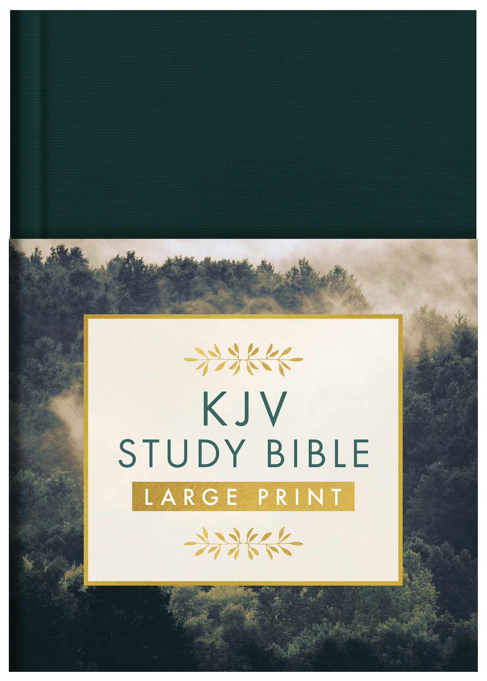 👉 KJV Study Bible – Large Print | Premium Gold Evergreen Cover | Easy-to-Read Edition